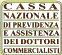 Cassa Nazionale di Previdenza ed Assistenza dei Dottori Commercialisti